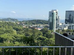 the-interlace photo thumbnail #5